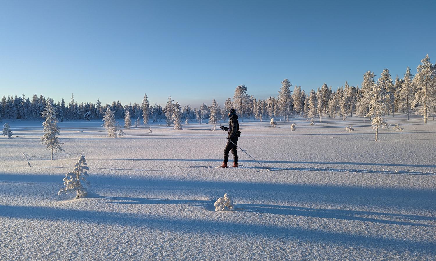 Saariselkä Backcountry Skiing Guided Tour