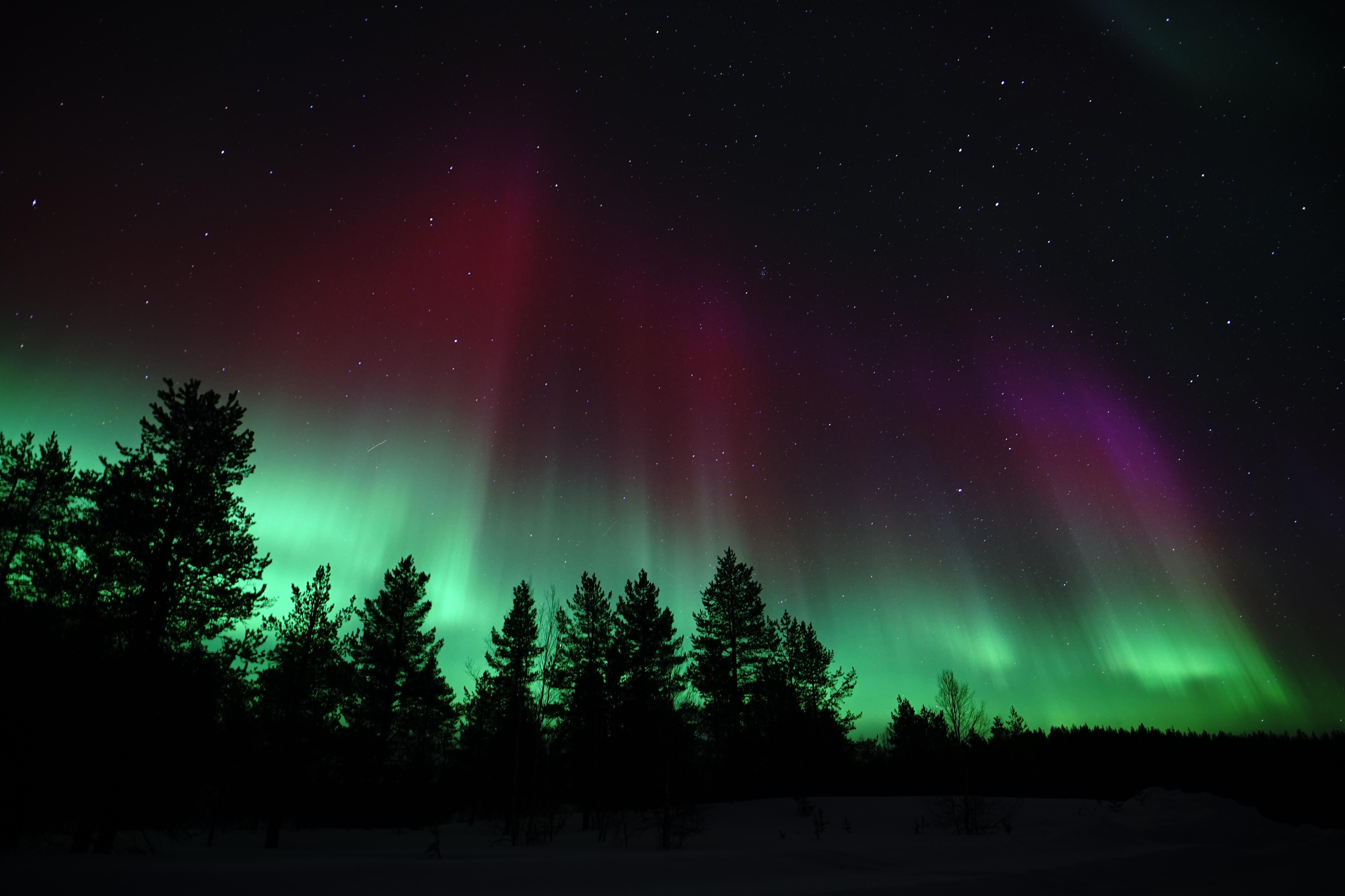 Saariselkä Northern Lights Photo Tour - Warm Clothing Included