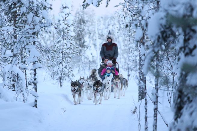 Levi 4-Hour Self-Drive Husky Sled Tour