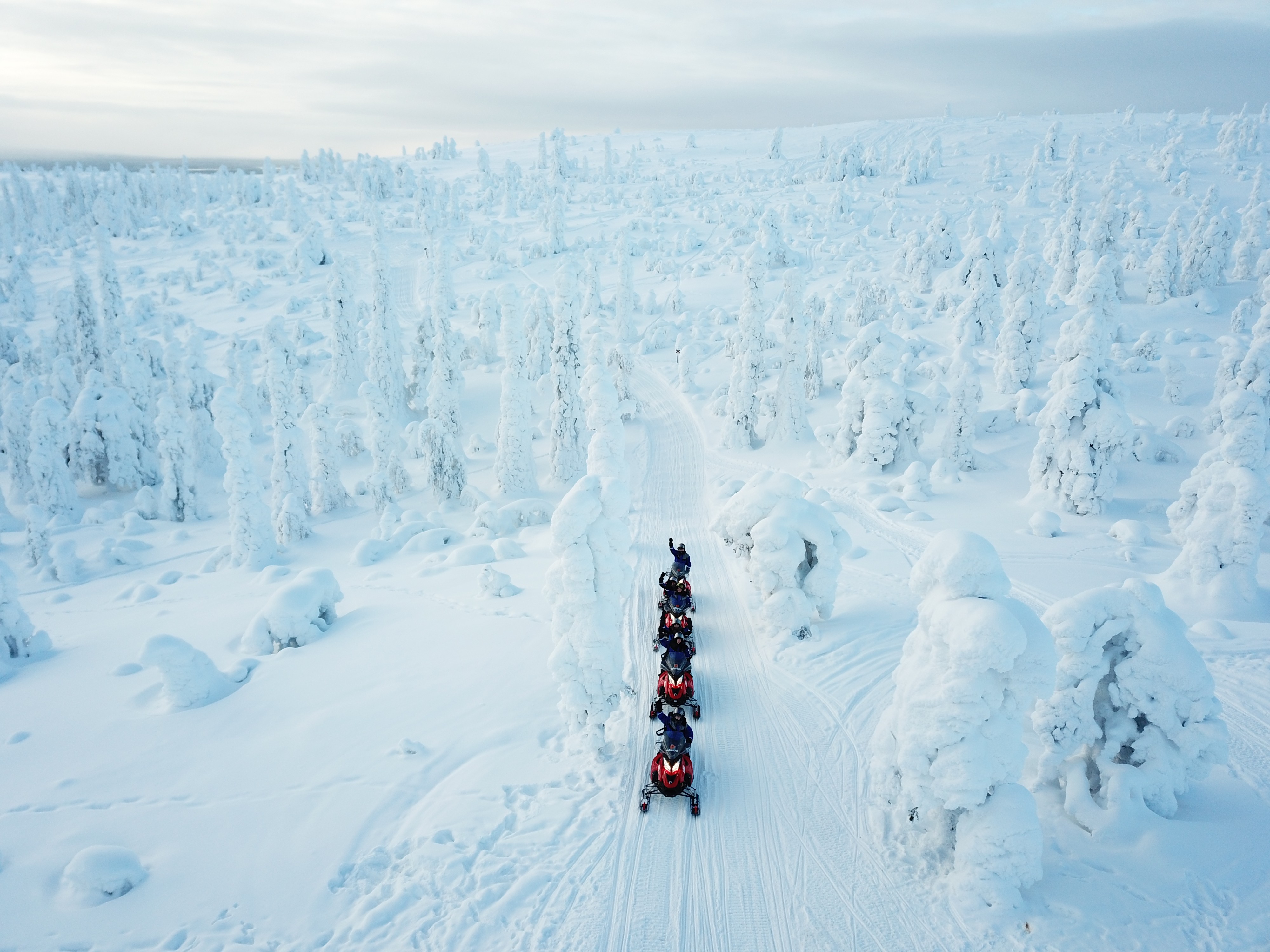 Levi Snowmobile Safari for Beginners