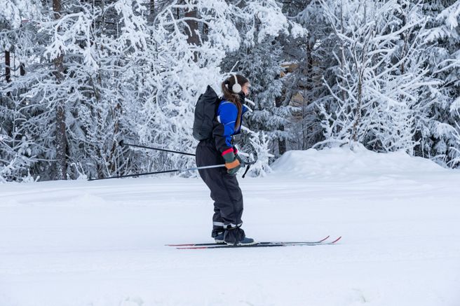 Saariselkä Cross-Country Skiing Tour