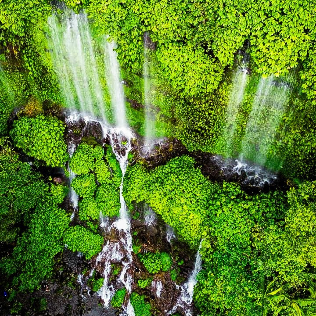 Lombok Benang Kelambu & Benang Stokel Waterfalls Day Tour