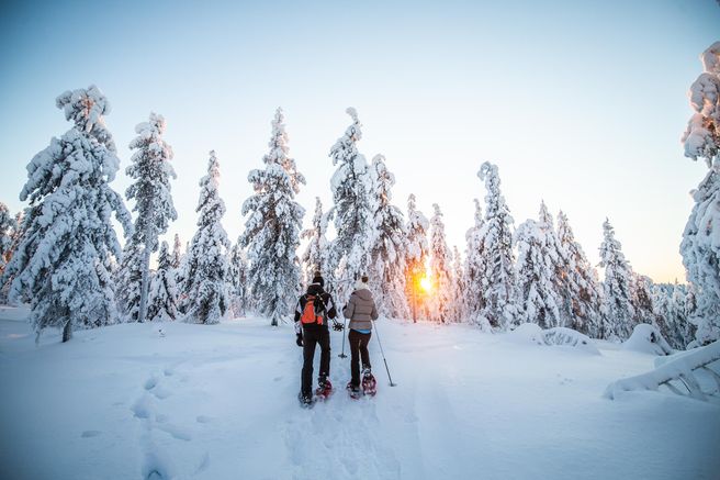 Levi Arctic Forest Snowshoe & Photography Tour
