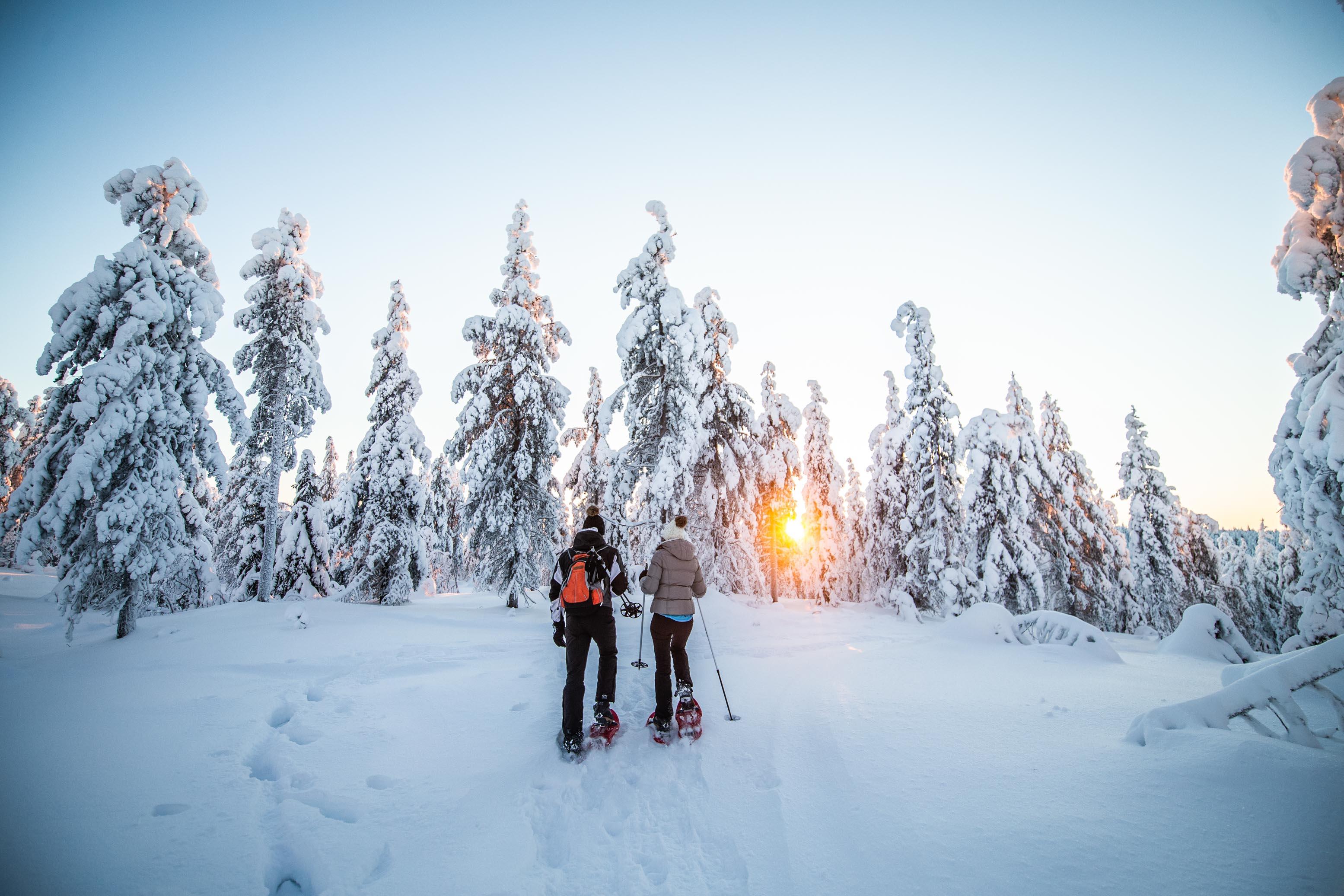 Levi Arctic Forest Snowshoe & Photography Tour