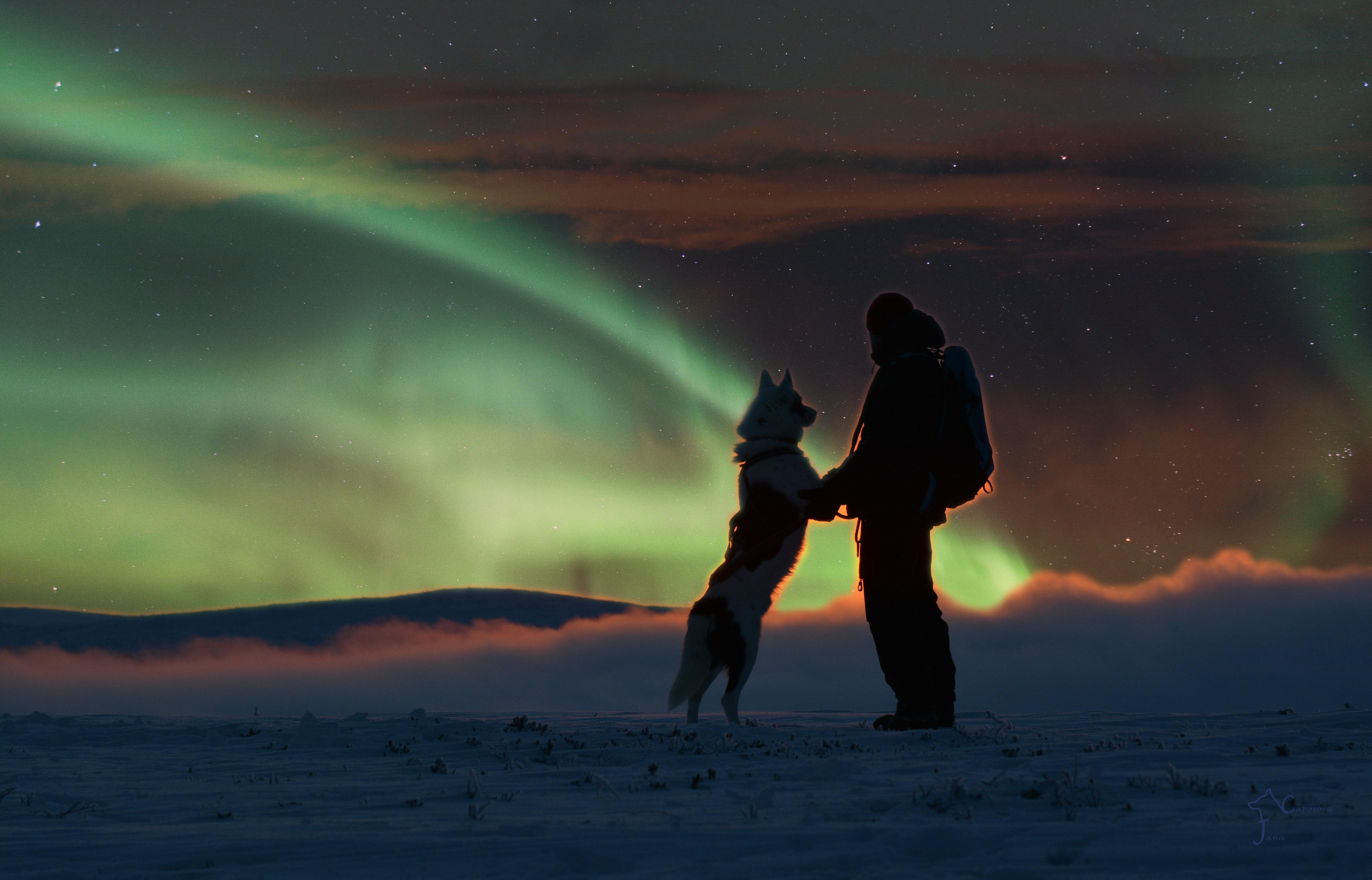 Saariselkä 5 km Husky Sled & Aurora Hunting Tour
