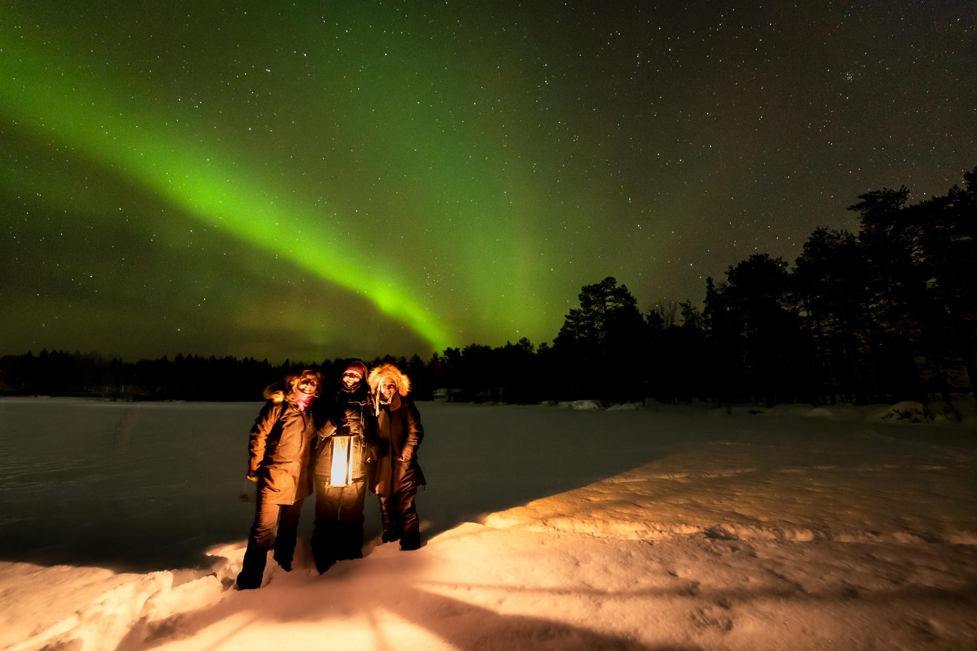 Levi Northern Lights Hunting Tour by Minivan