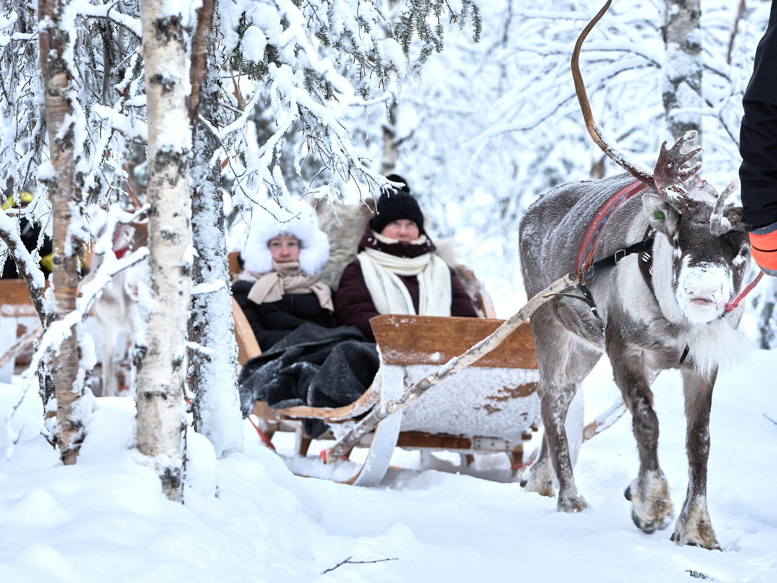 Levi 600 m Reindeer Sleigh Ride