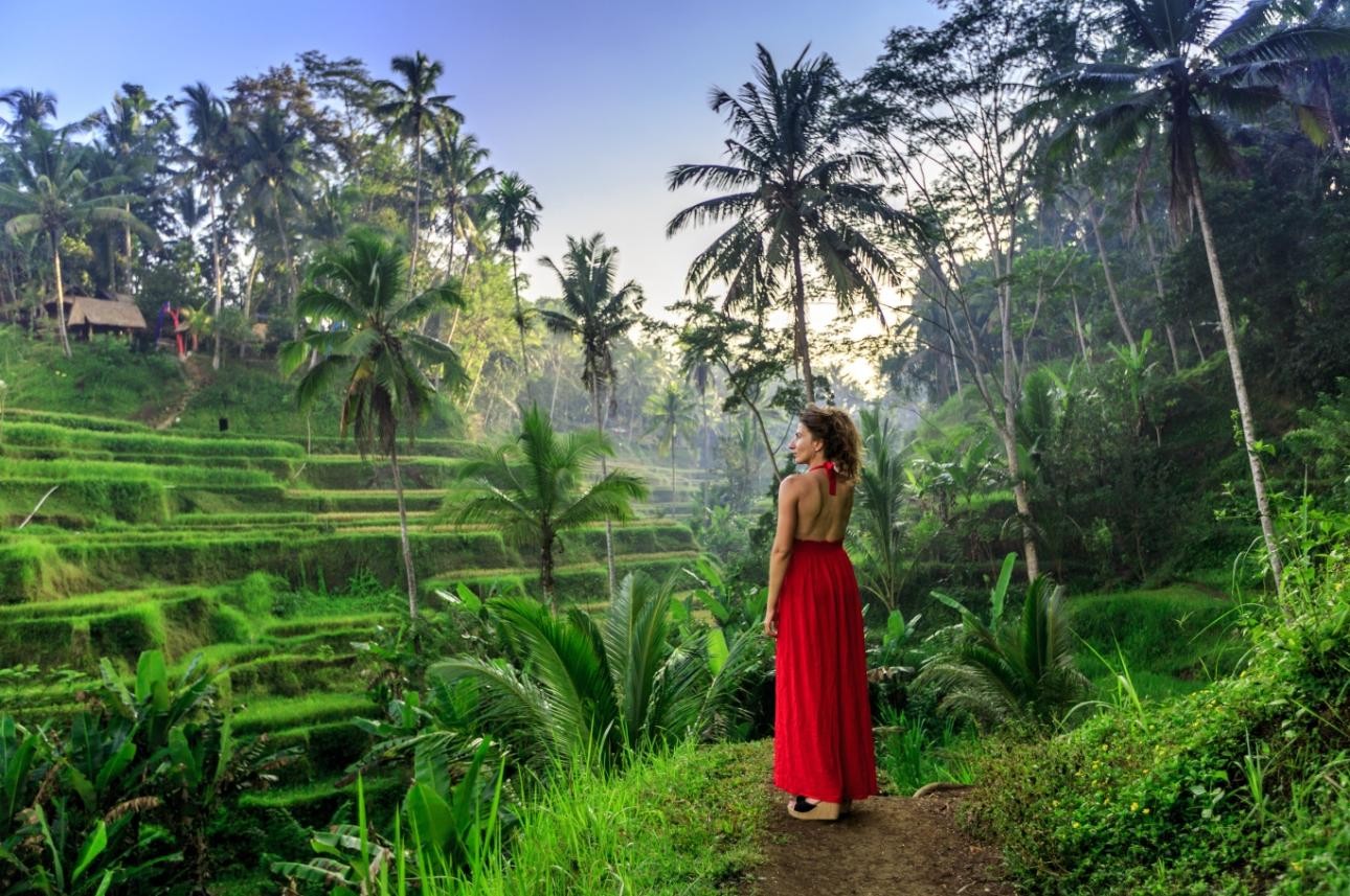 Bali Ubud Monkey Forest, Jungle Swing and Tegallalang Rice Terrace Half-Day Tour