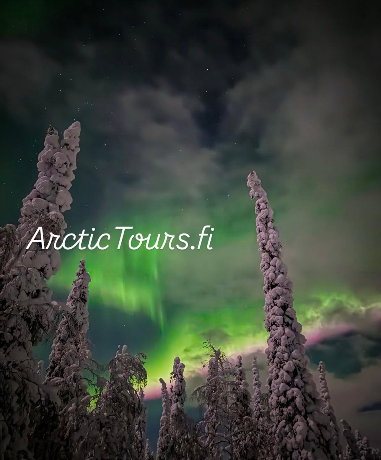 Saariselkä & Kakslauttanen Aurora Hunting Tour