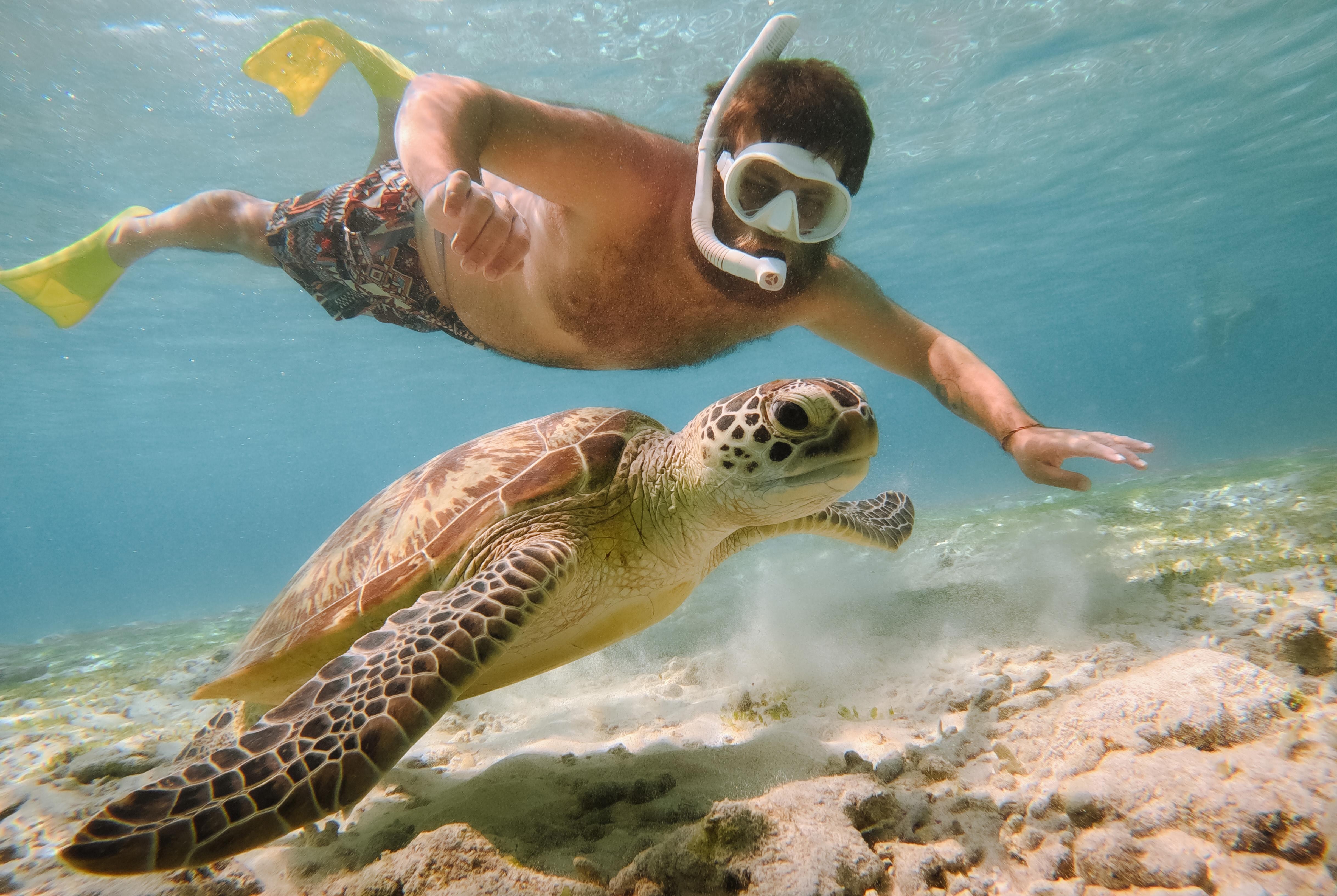 Gili Trawangan 2-Day 1-Night Private Snorkeling Tour from Bali