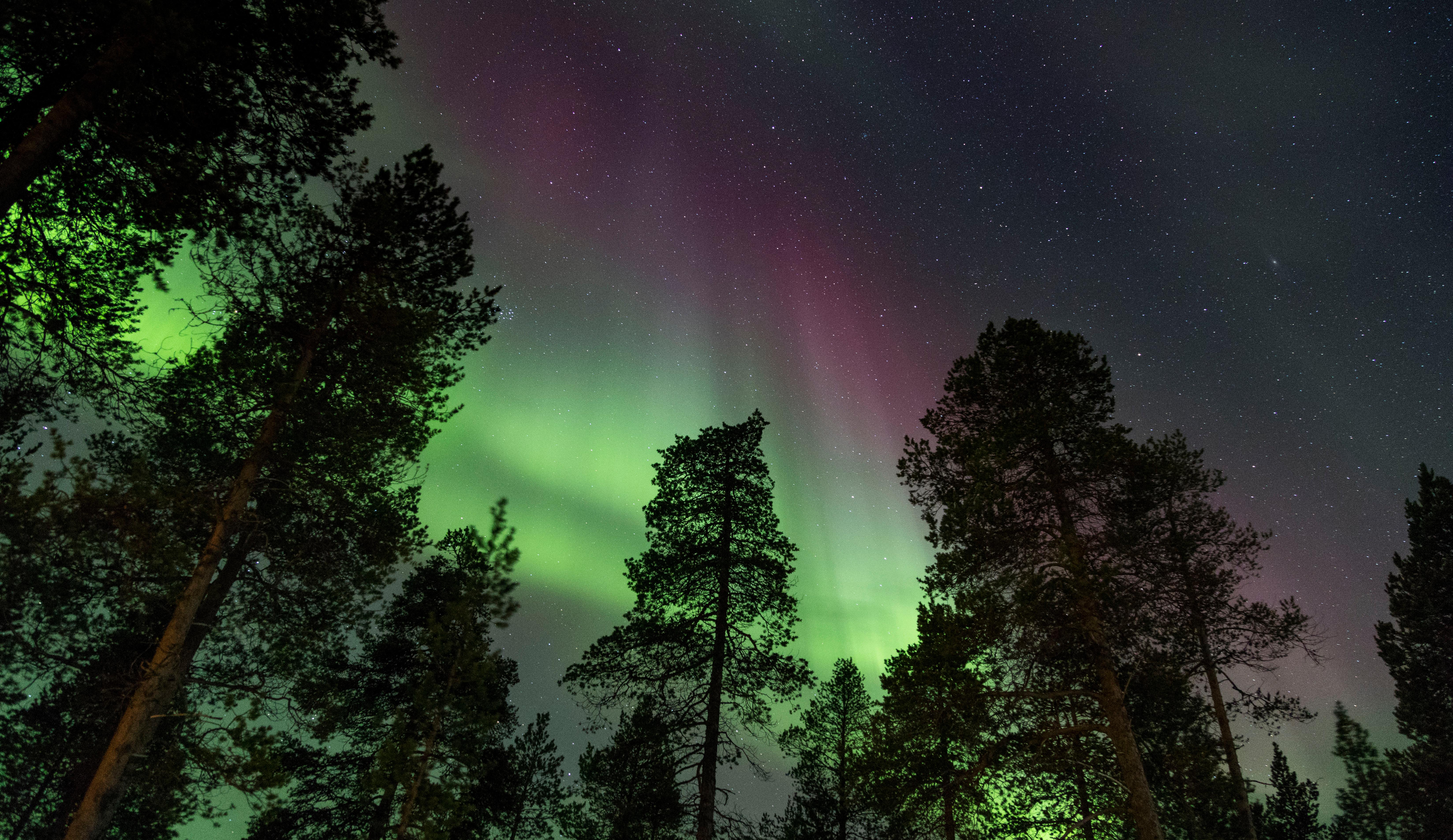 Saariselkä Muotka Autumn Aurora Camp Tour