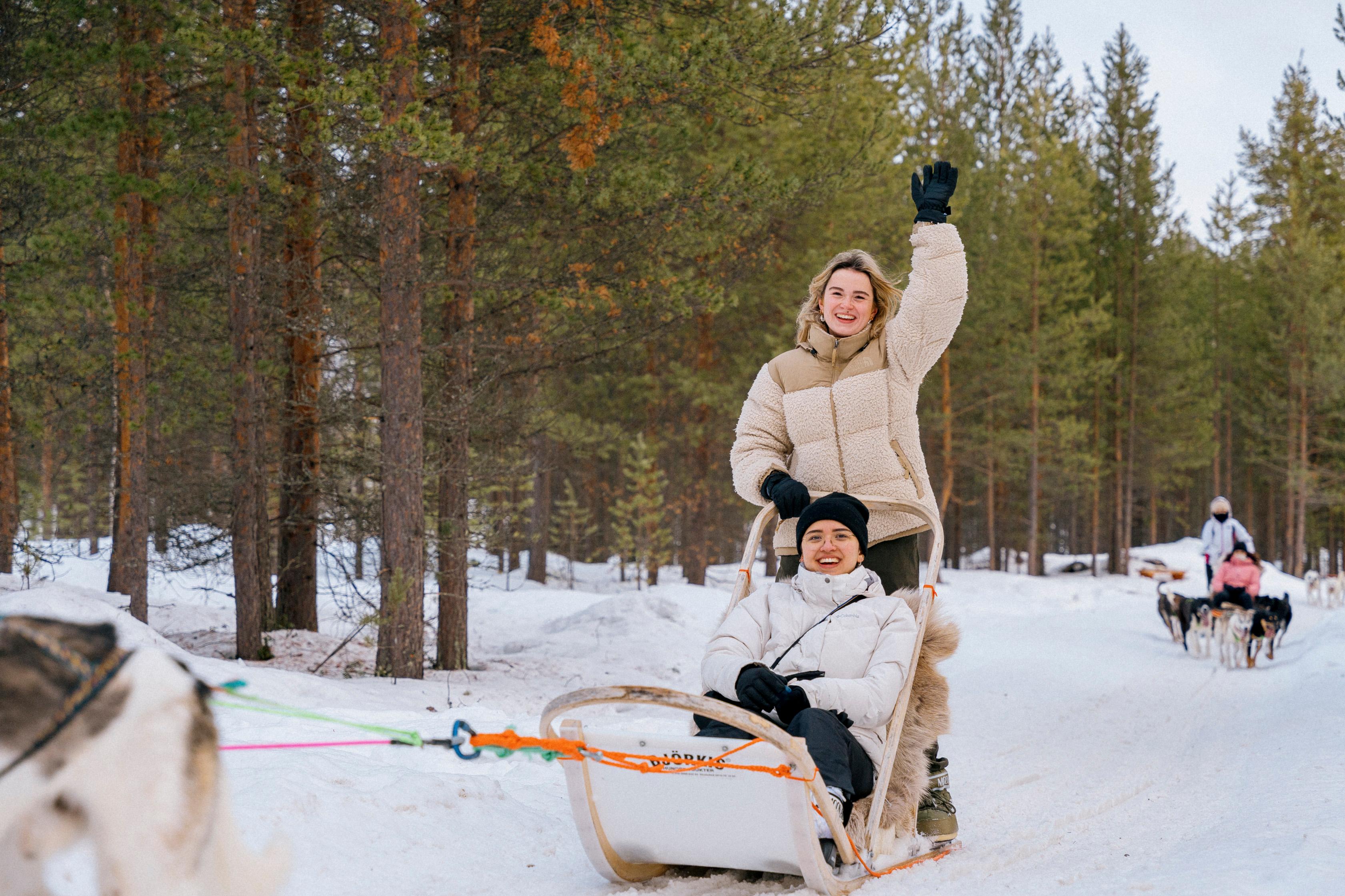 From Saariselkä: 10km Husky Sled Safari & Kennel Visit