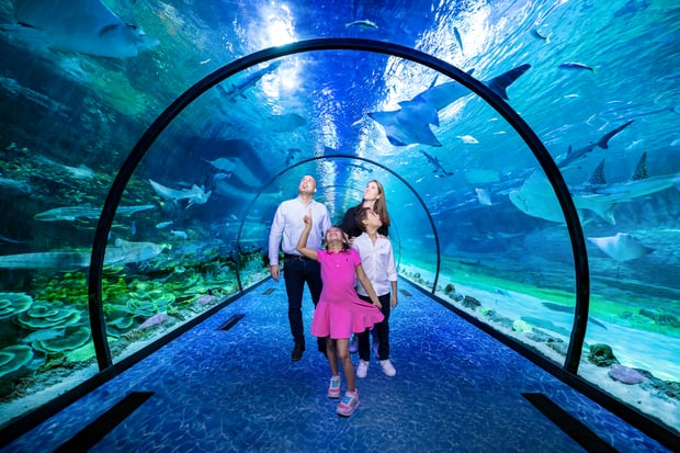 Abu Dhabi National Aquarium Entry Ticket (Glass-Bottom Boat or VIP Package Option)