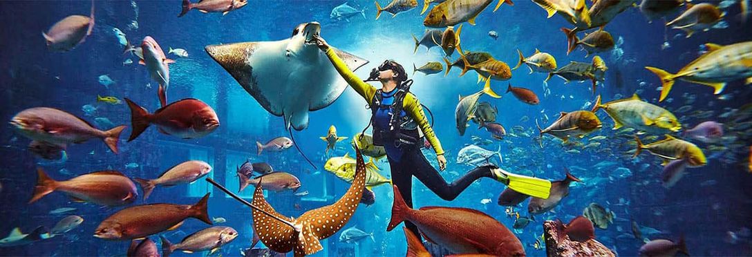 ドバイ アトランティス アクアベンチャー・ウォーターパーク&ロスト・チェンバーズ水族館 スーパーパス