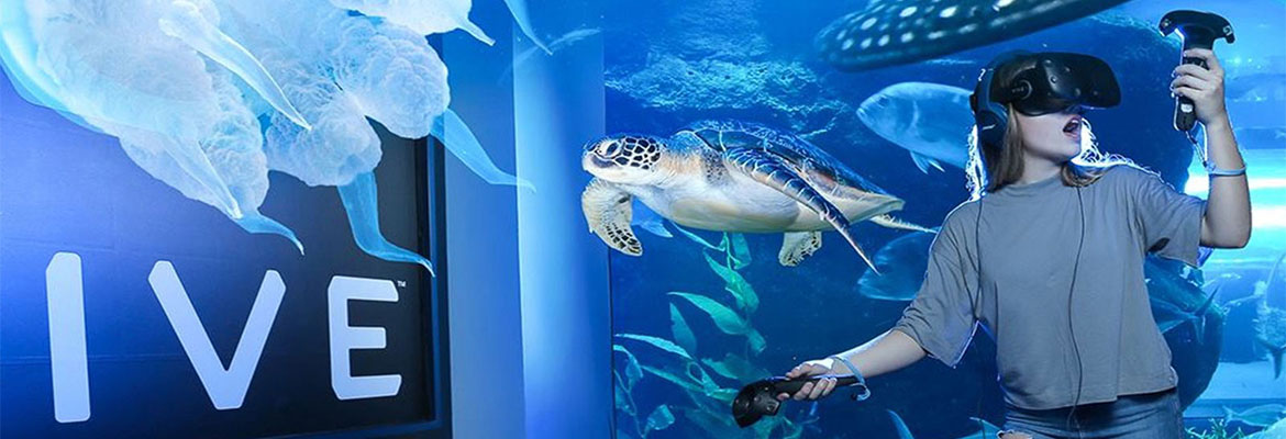 ドバイ・モール 水族館＆アンダーウォーター動物園 ペンギン・コーブ入場券