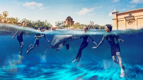Dubai Atlantis Dolphin Swim & Aquaventure Waterpark Same-Day Entry