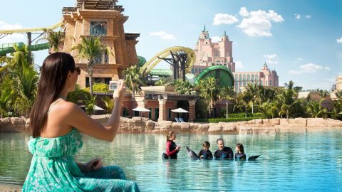 Dubai Atlantis Dolphin Bay Dolphin Encounter & Aquaventure Same-Day Entry