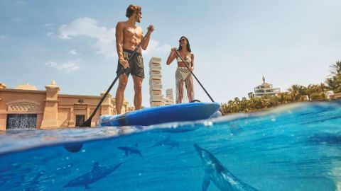Dubai Atlantis Dolphin Bay Dolphin Paddle & Aquaventure Same-Day Entry