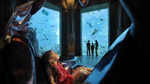 ドバイ アトランティス・ザ・パーム ロスト・チェンバーズ水族館 一般入場券