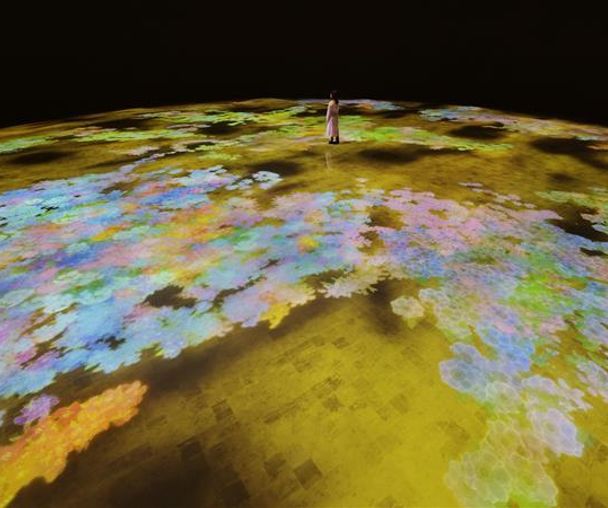 activity_detail_image