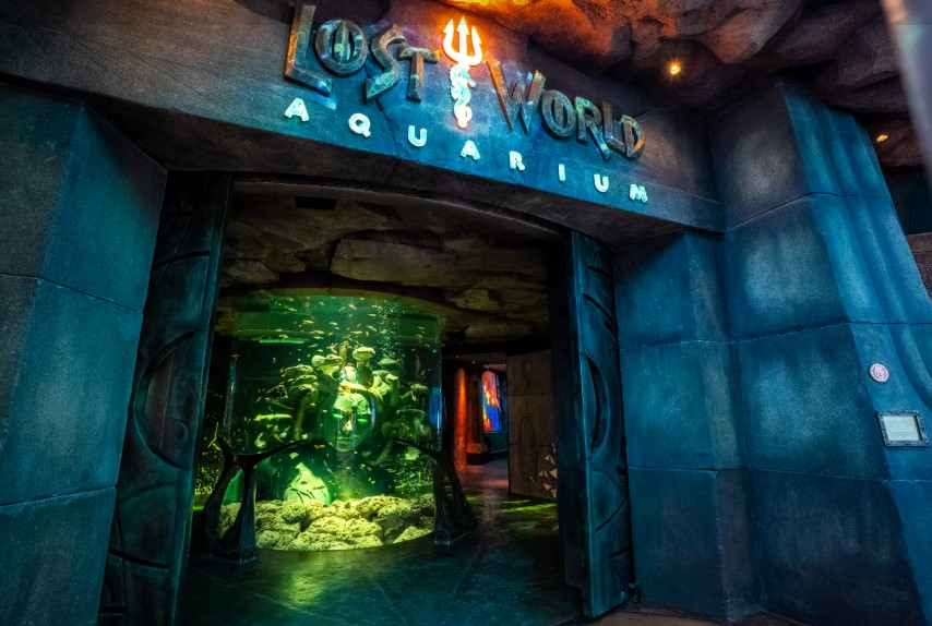 Dubai Lost World Aquarium Ticket (Waterpark & Snorkel Options)