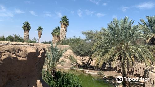 Abu Dhabi: Al Ain Zoo Admission Ticket