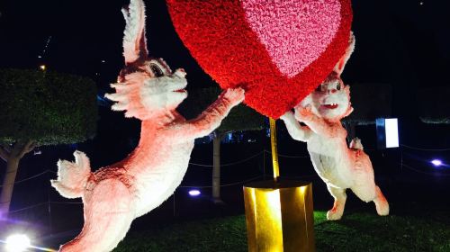 Dubai Garden Glow Admission Ticket - Ages 3-99 (Weekday or Fridays & Holidays)