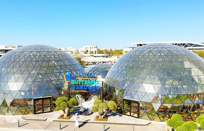 Abu Dhabi The Butterfly Gardens Entry Ticket