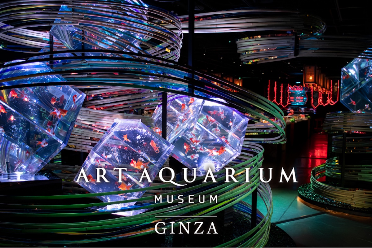 Tokyo Art Aquarium Ticket + Subway 24-Hour Ticket
