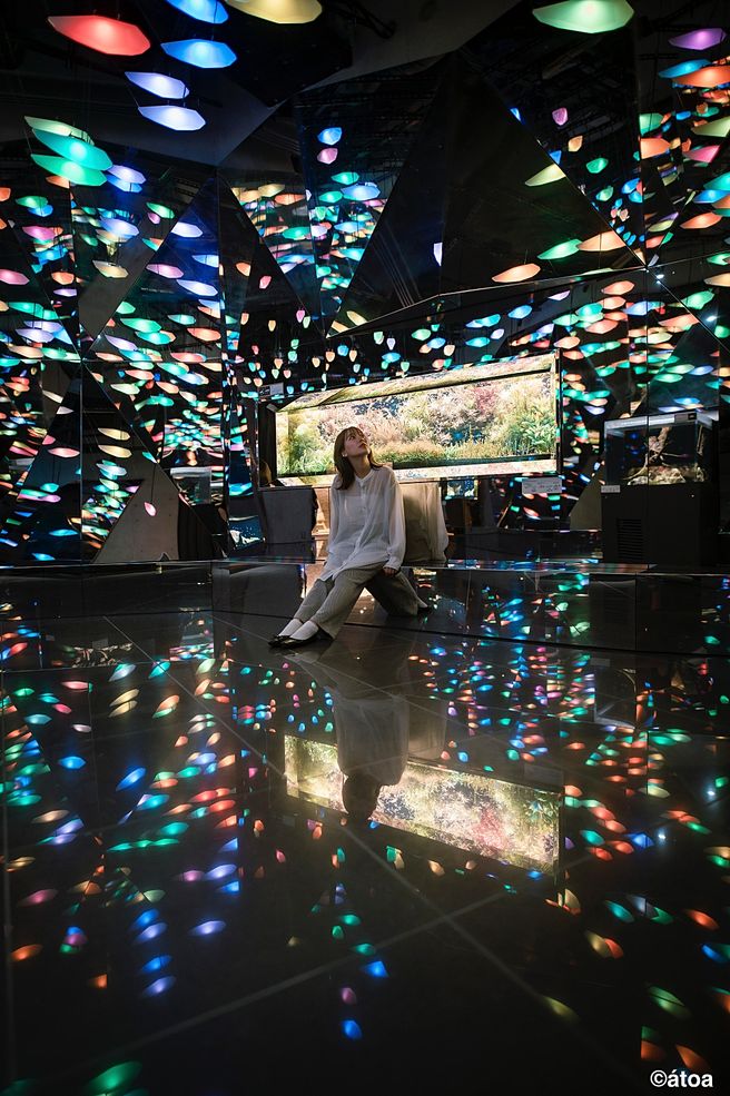 Kobe átoa Aquarium + Maritime Museum & Kawasaki World Ticket