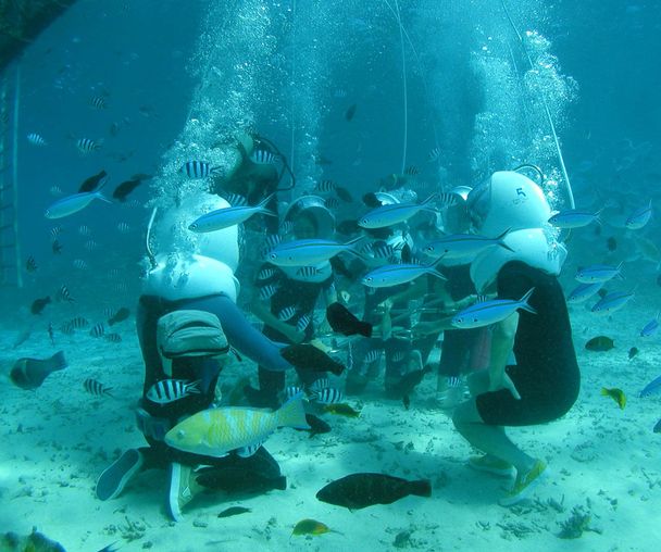 activity_detail_image