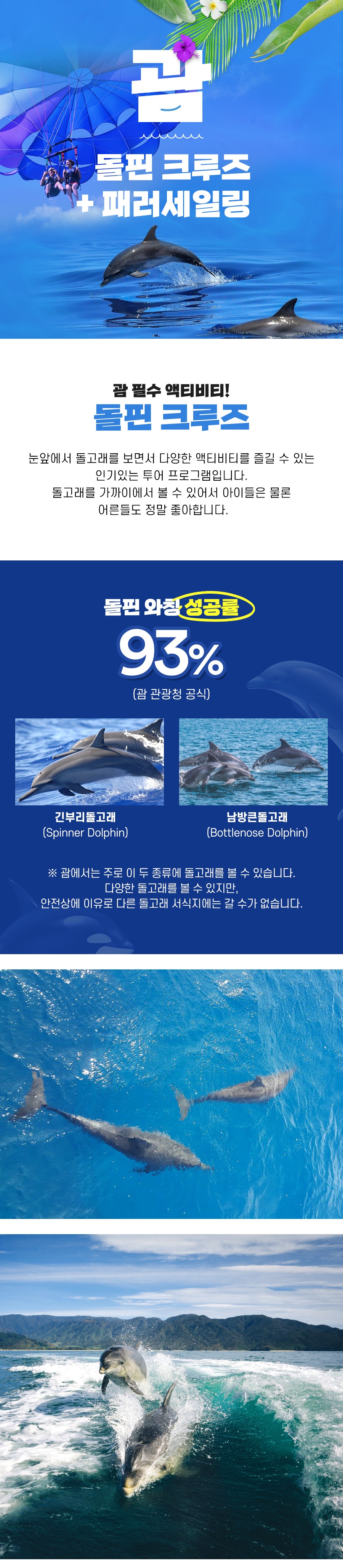 괌 오딧세이 돌핀크루즈 & 패러세일링 콤보