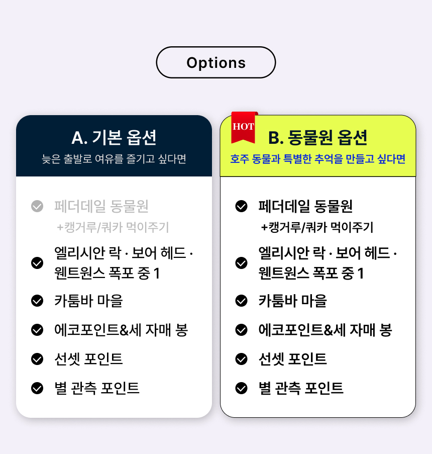 06. options.jpg