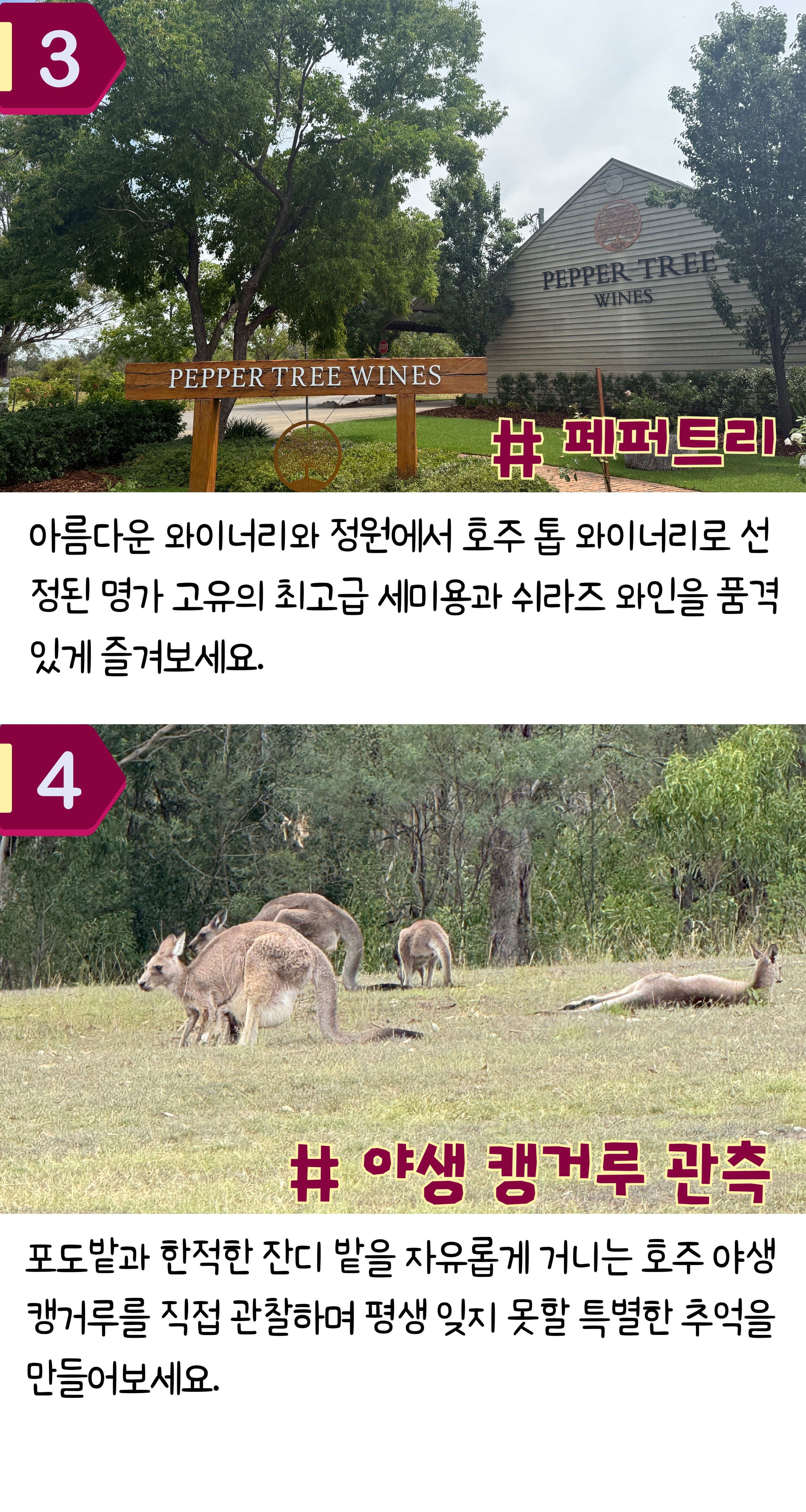 05-2. 상품안내.jpg
