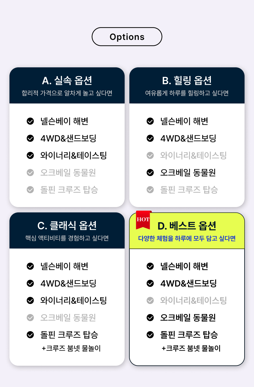05. 옵션설명.jpg