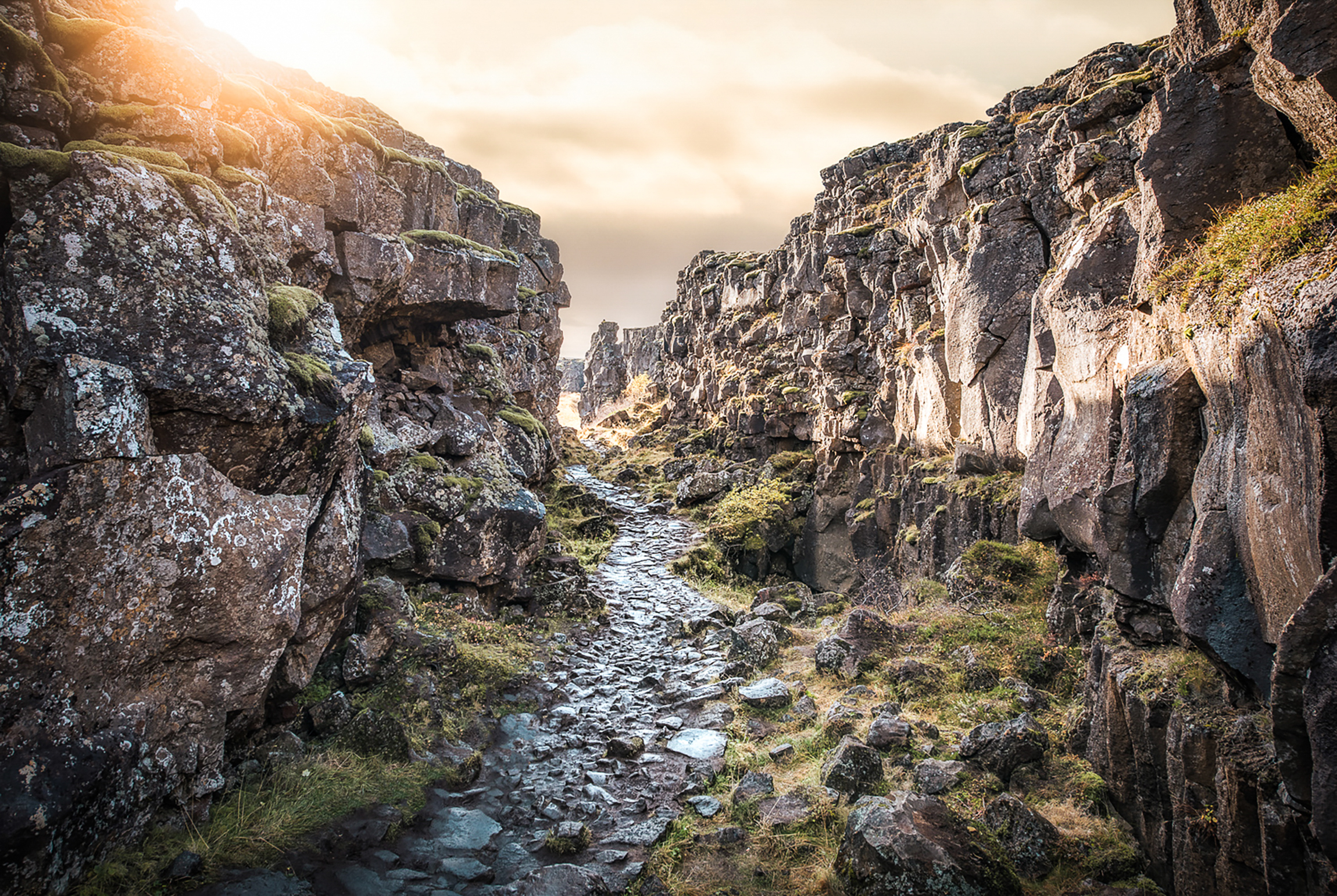 golden-circle-4.jpg