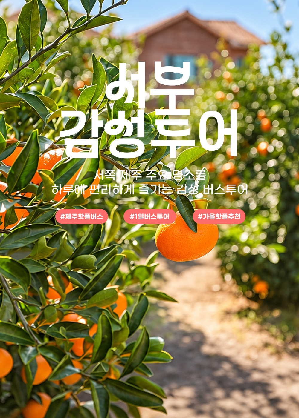 메인컷.jpg
