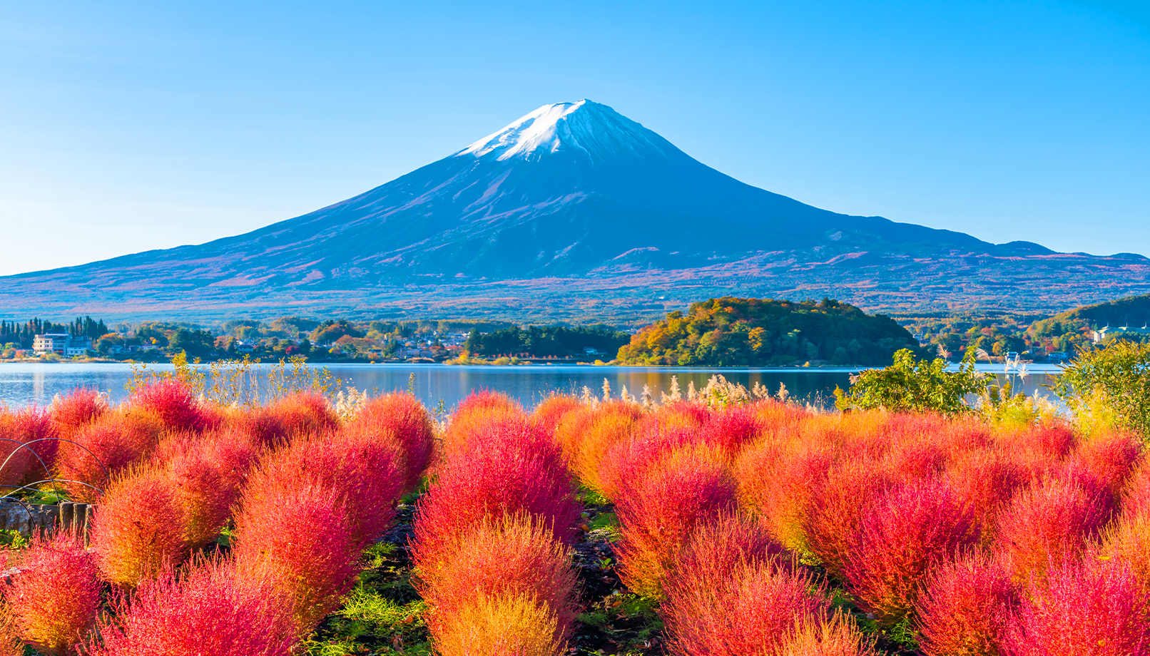 istock (6).jpg