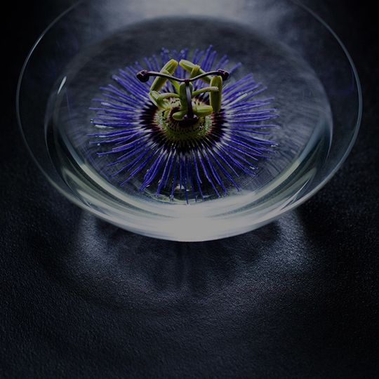 magazine detail image