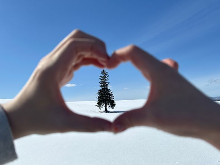 magazine detail image