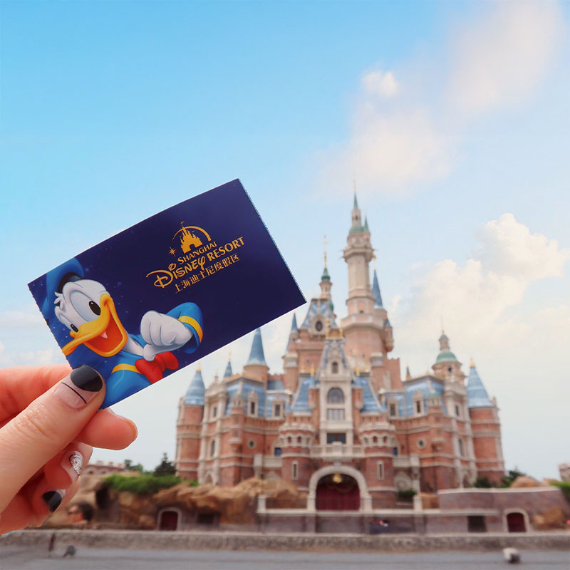 【入手困難】上海ディズニーランド アートコレクション メリーゴーランド 永島千裕「溢れるメリーゴーランド」 | ArtSticker