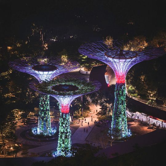 magazine detail image