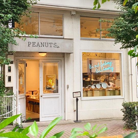 magazine detail image