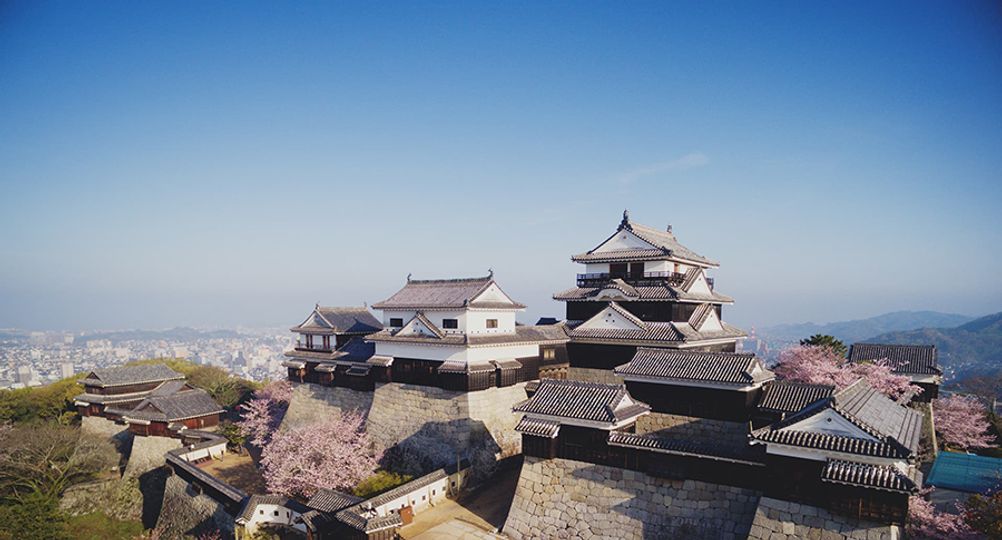 magazine detail image