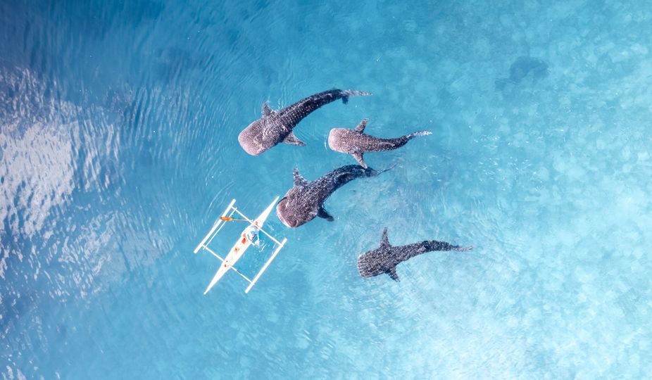 magazine detail image