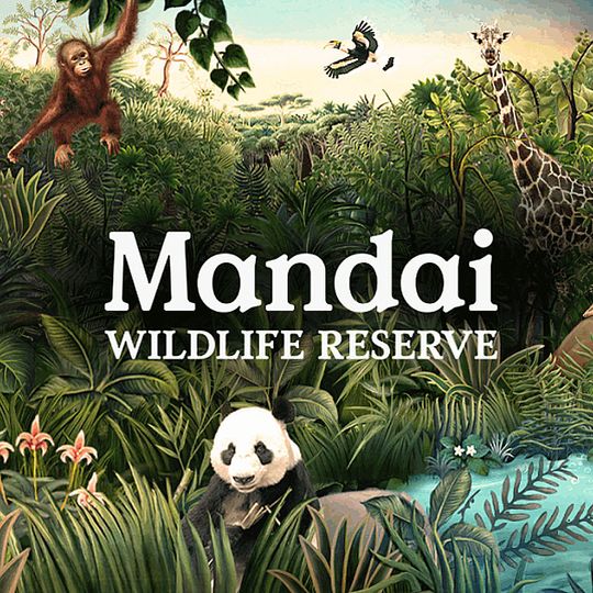 magazine detail image