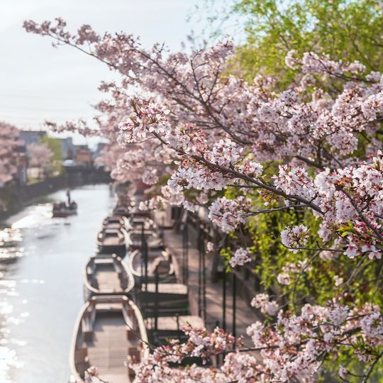 magazine detail image