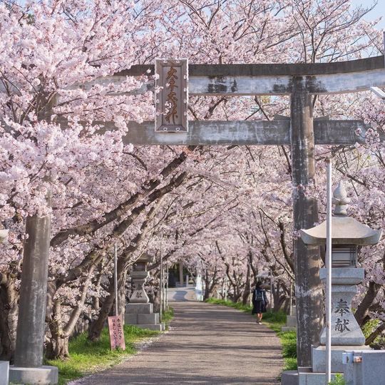 magazine detail image