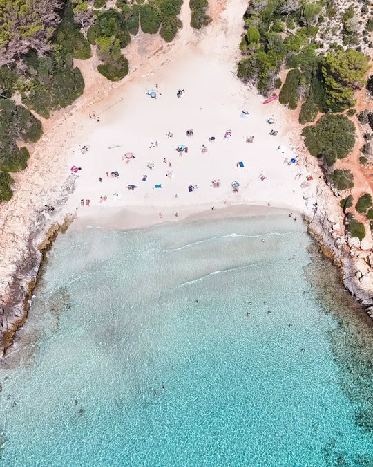 magazine detail image