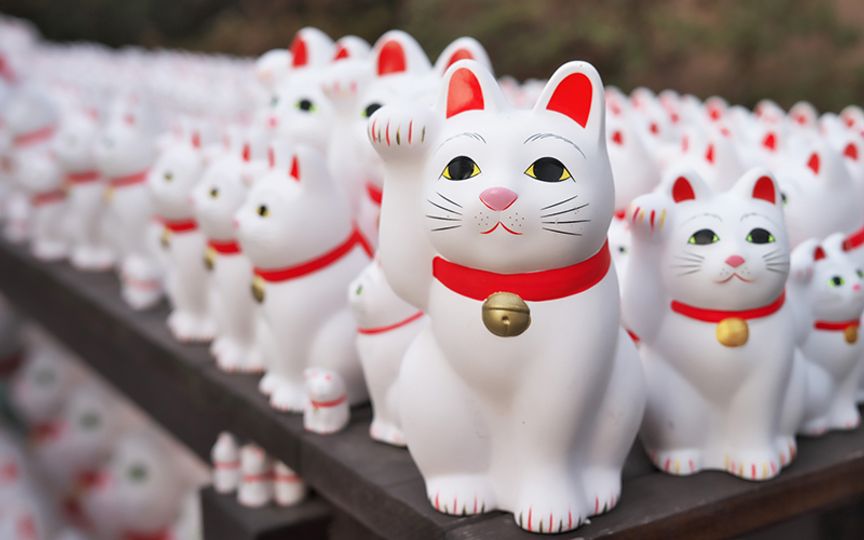 magazine detail image